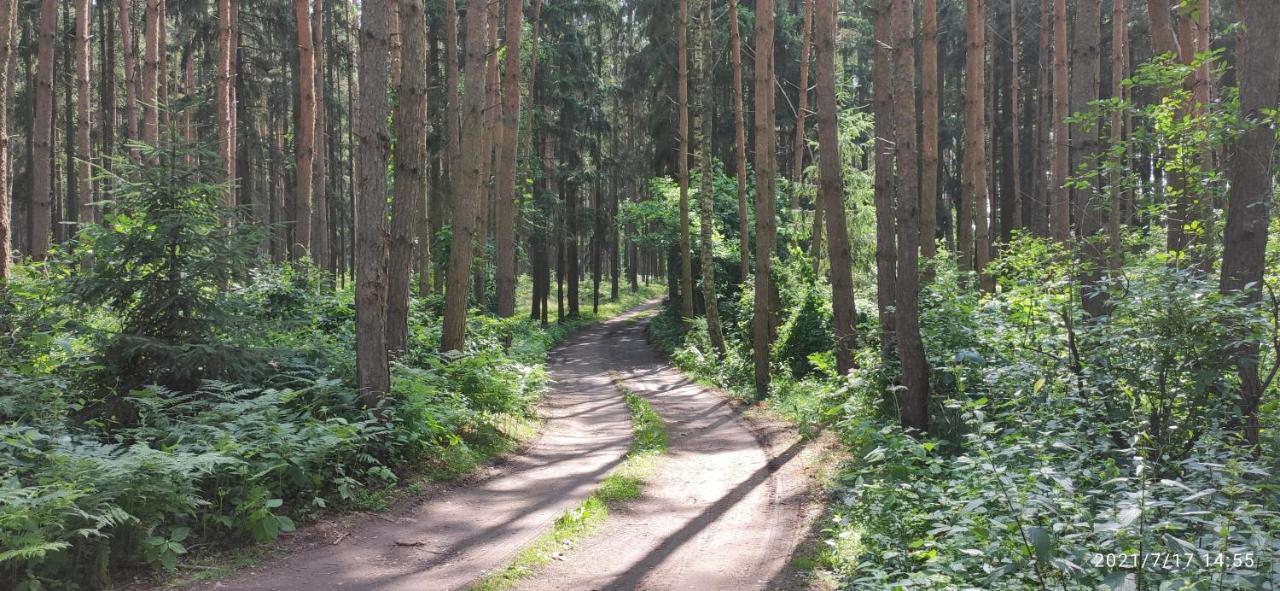 Chata Mareček - v lesní osadě u řeky Lužnice Skalice Exteriér fotografie
