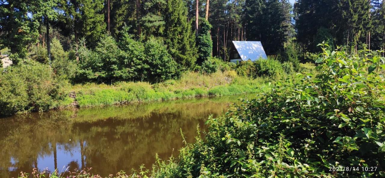 Chata Mareček - v lesní osadě u řeky Lužnice Skalice Exteriér fotografie
