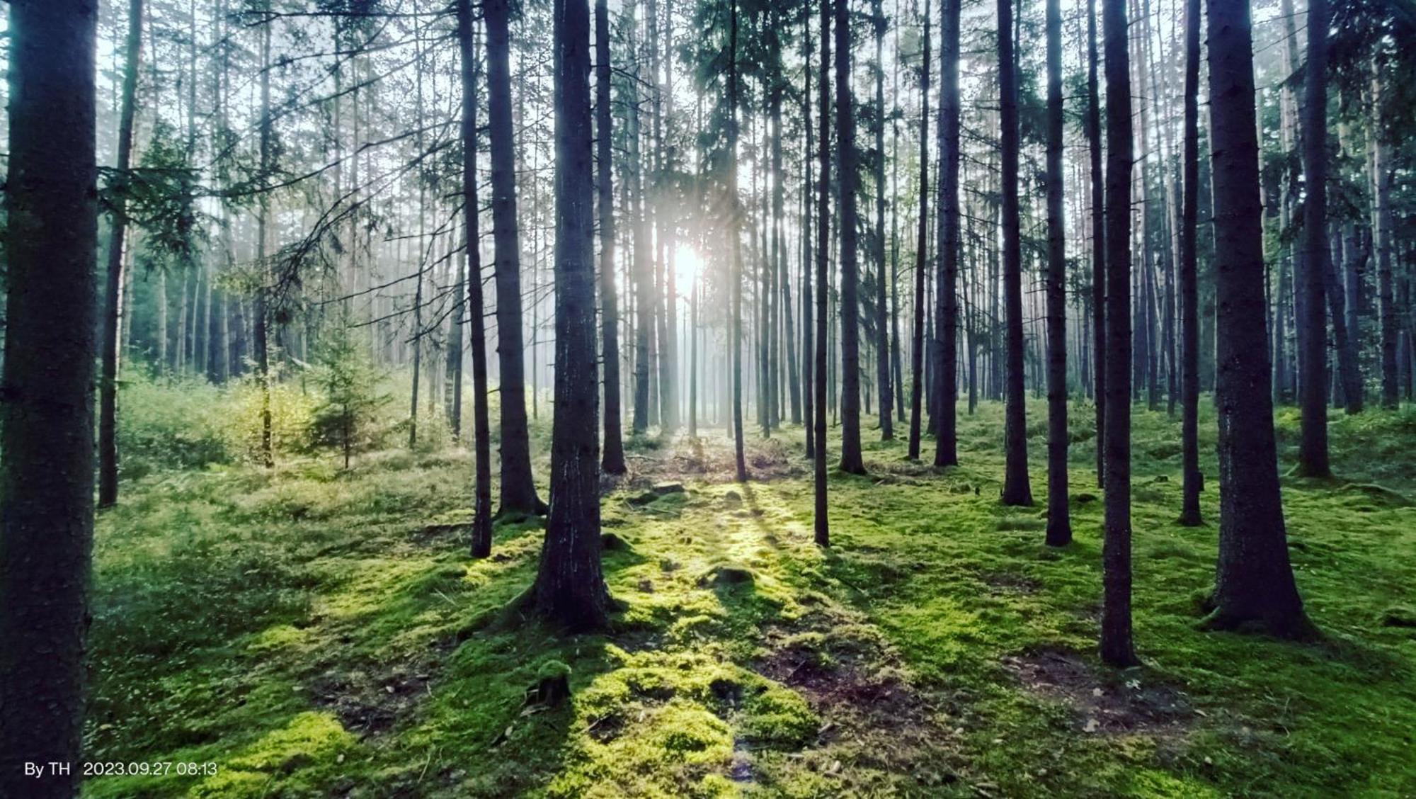 Chata Mareček - v lesní osadě u řeky Lužnice Skalice Exteriér fotografie