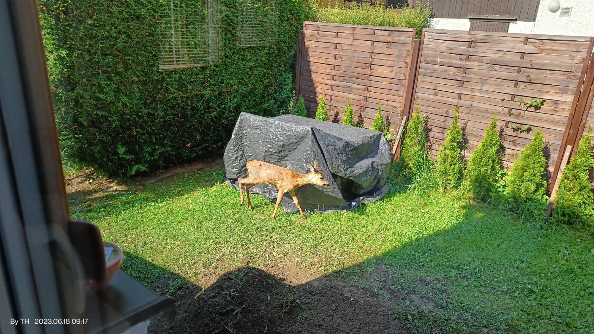 Chata Mareček - v lesní osadě u řeky Lužnice Skalice Exteriér fotografie